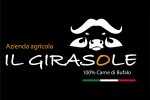 logo girasole